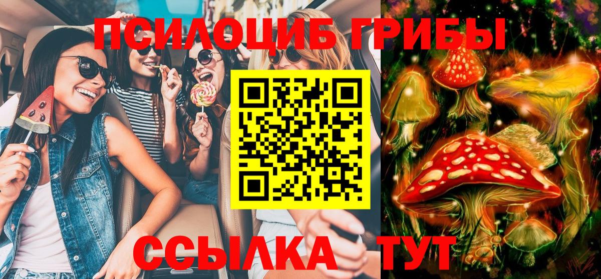 Галлюциногенные грибы мицелий Кемерово